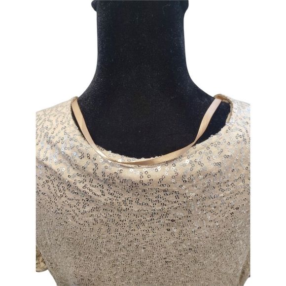 Victoria Secret Sequin Dress - Picture 6 of 9